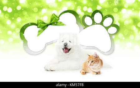 Animaux rigolo chat et chien avec os et empreinte de patte carte cadeau forme ruban vert sur bow seau modèle vierge et d'arrière-plan Banque D'Images