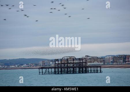 Brighton, East Sussex, Angleterre, Royaume-Uni. 5 déc, 2017. Murmurations Starling comme des milliers d'étourneaux à Brighton voler au-dessus de la mer dans les modes de balayage - voler au-dessus de la demeure de West Pier, old pier au crépuscule. Credit : Carolyn Jenkins/Alamy Live News Banque D'Images