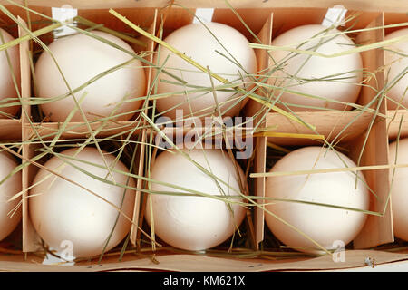 Six oeufs de poulet frais de la ferme de caisses en bois en boîte avec du foin sur fond blanc, augmentation de la vue supérieure, juste au-dessus Banque D'Images