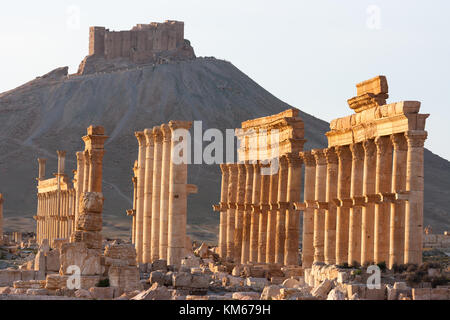 Les anciennes ruines de palmyra, Syrie Banque D'Images