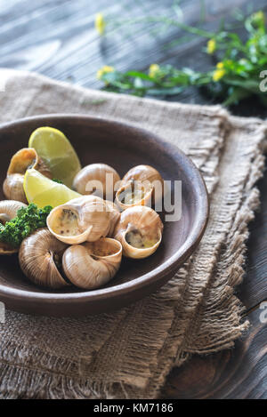Bol d'escargots cuits Banque D'Images