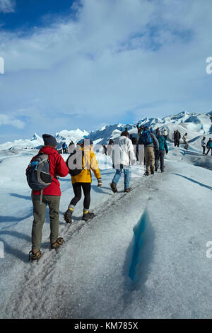 Randonneurs sur le glacier Perito Moreno, Parque Nacional Los Glaciares (zone du patrimoine mondial), Patagonie, Argentine, Amérique du Sud Banque D'Images