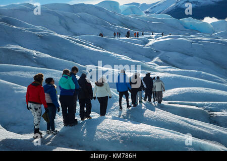 Randonneurs sur le glacier Perito Moreno, Parque Nacional Los Glaciares (zone du patrimoine mondial), Patagonie, Argentine, Amérique du Sud Banque D'Images