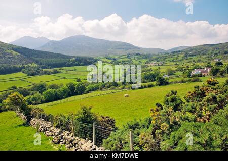 Campagne agricole dans les montagnes de Mourne, comté de Down, Irlande. à partir de la route de slieve bearnagh trassey avec de la distance. Banque D'Images
