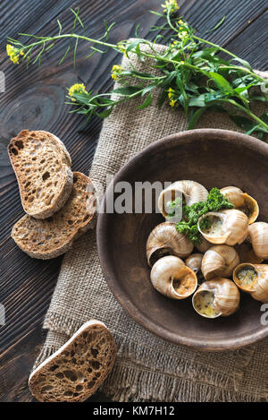 Bol d'escargots cuits Banque D'Images