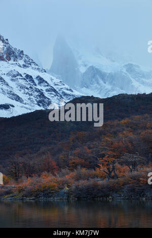 Laguna Capri et le mont Fitz Roy en voie de Laguna de los tres, Parque Nacional Los Glaciares (zone du patrimoine mondial), Patagonie, Argentine, l'Ameri Banque D'Images