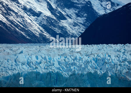 Face à la borne de Perito Moreno Glacier, Parque Nacional Los Glaciares (zone du patrimoine mondial), Patagonie, Argentine, Amérique du Sud Banque D'Images