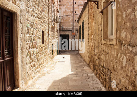 Pigeon repose sur l'une des rues étroites de la vieille ville de Dubrovnik. Banque D'Images