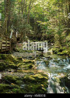 Le ruisseau Dickson, Dickson Falls Trail, le Parc National de Fundy, Nouveau-Brunswick, Canada. Banque D'Images