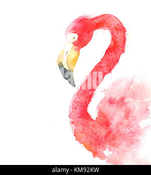Illustration d'un portrait aquarelle d'un flamant rouge sur fond blanc Banque D'Images