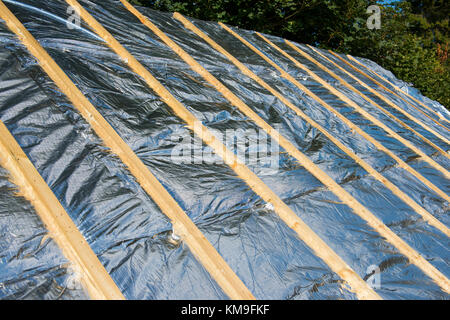 L'isolation du toit Superfoil sur un nouveau toit en vertu de constructon. Banque D'Images