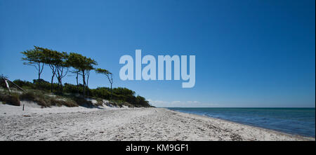 Le relais du lac mecklenburg allemagne zingst Banque D'Images