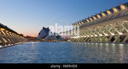 Musée des sciences Príncipe Felipe, le Palau de les Arts Reina Sofia, Valencia, Espagne Banque D'Images