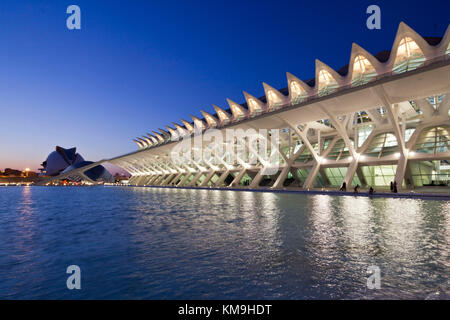 Musée des sciences Príncipe Felipe, le Palau de les Arts Reina Sofia, Valencia, Espagne Banque D'Images