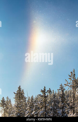 Un chien sun parhelion formes poudrin de cristaux de glace dans le ciel au-dessus de la ligne des arbres au parc national de Yellowstone en hiver Janvier 13, 2017 dans le Wyoming. (Photo de jacob w. Frank via planetpix) Banque D'Images