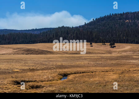 De vastes prairies dans Valles Caldera National Preserve, un préserver géré par le National Park Service, avec la fumée s'élevant d'un brûlage dirigé dans la dist Banque D'Images