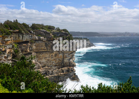 Falaises à gap bluff à Watsons Bay, une banlieue est de Sydney, New South Wales, Australia Banque D'Images