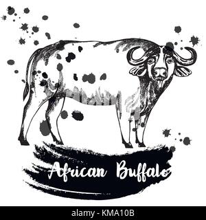 Croquis dessinés à la main, de l'Afrique de style buffalo. vector illustration isolé sur fond blanc. Illustration de Vecteur