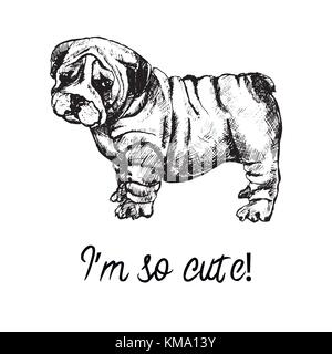 Style croquis dessinés à la main, chiot bouledogue anglais. vector illustration isolé sur fond blanc. Illustration de Vecteur