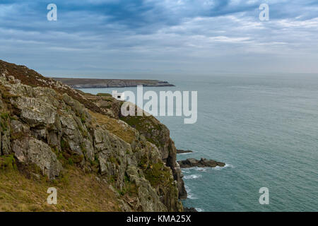 Ellis, près du phare de South Stack, Holyhead, Ile d'Anglesey, au Pays de Galles, Royaume-Uni Banque D'Images