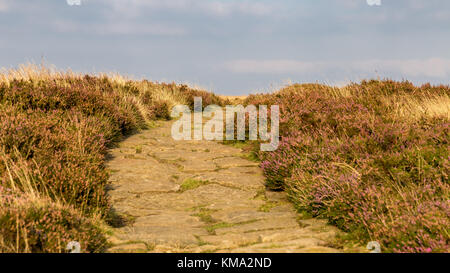 Cleveland Way entre banque en argile et Wainstones, North York Moors, shérif devient près de North Yorkshire, UK Banque D'Images