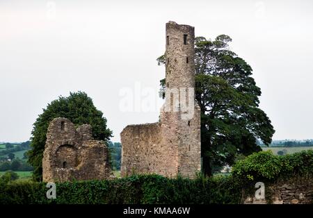 Fougères, Co. Wexford, Irlande. Autrefois cité royale et épiscopale, capitale du Royaume du Leinster. L’abbaye de Marie date de 1160 Banque D'Images