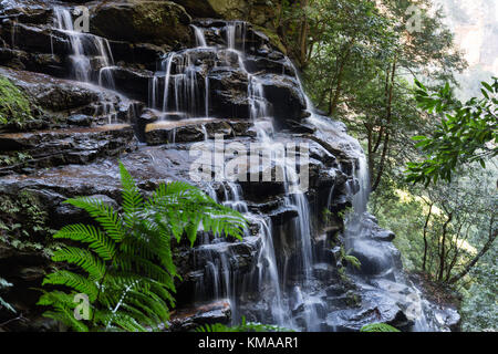 Cascade dans les Blue Mountains, Australie Banque D'Images