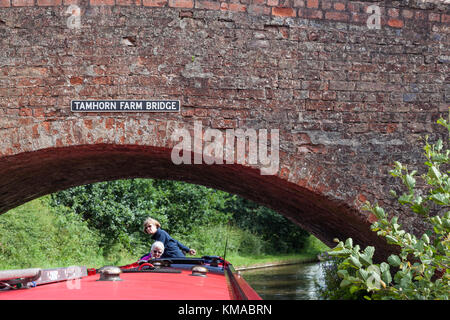 Canard femmes qu'ils mettent leurs 15-04 sous un pont sur le canal de Birmingham & Fazeley, Staffordshire, Angleterre. Banque D'Images