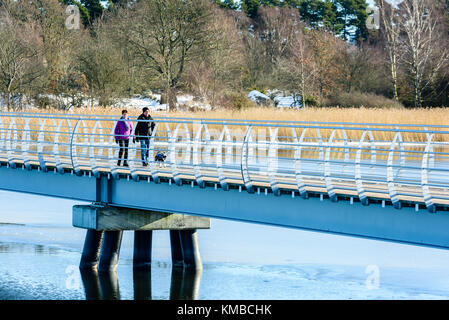 Solvesborg, Suède - 14 février 2017 : documentaire environnemental sur le plus long pont piétonnier d'Europe. Couple senior promenant chien sur le pont. Banque D'Images