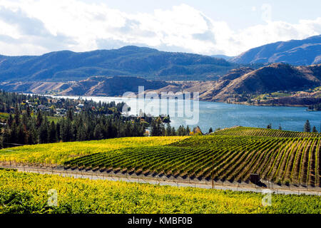 Avis de vignobles surplombant le lac Skaha entre Penticton et Okanagan Falls situé dans la vallée de l'okanagan près de Penticton, Colombie-Britannique, c Banque D'Images