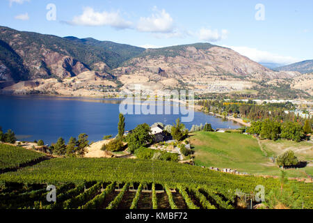 Vue sur vignes surplombant le lac Skaha et Skaha beach situé dans la vallée de l'okanagan à Penticton, Colombie-Britannique, Canada. Banque D'Images