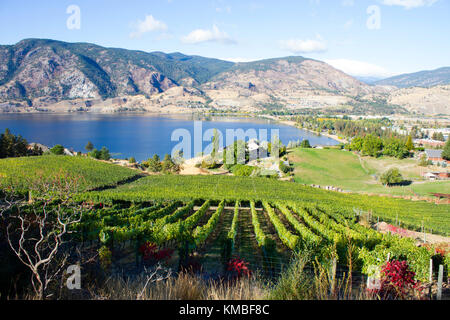 Vue sur vignes surplombant le lac Skaha et Skaha beach situé dans la vallée de l'okanagan à Penticton, Colombie-Britannique, Canada. Banque D'Images