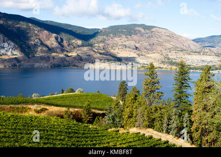 Vue sur vignes surplombant le lac Skaha et Skaha beach situé dans la vallée de l'okanagan à Penticton, Colombie-Britannique, Canada. Banque D'Images