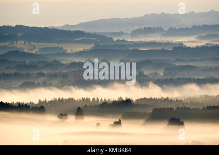 Matin brouillard, vue depuis l'Auerberg près de Bernbeuren, Pfaffenwinkel, Haute-Bavière, Bavière, Allemagne Banque D'Images