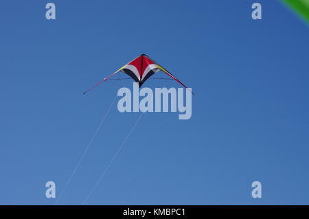 Kite dans ciel bleu clair Banque D'Images