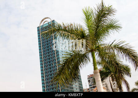 Palmier contre skyscraper capitale de l'Angola à Luanda Banque D'Images