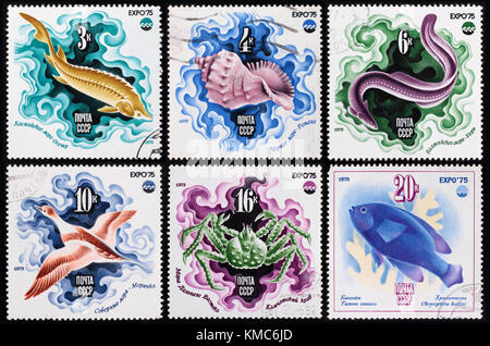 - Soviétique environ 1975 : un post de timbres en l'image de l'affiche soviétique, habitants de la mer, série Expo'75, vers 1975. Banque D'Images
