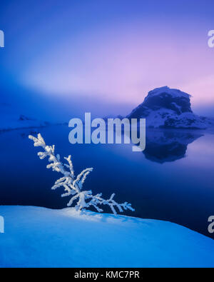 Snowy landcape, le lac Myvatn, l'Islande. image prise avec un bourdon Banque D'Images