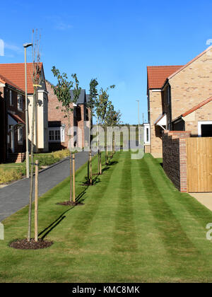 EASTFIELD, Scarborough, North Yorkshire, Angleterre - 10 octobre 2016 : Nouvelle construction de logements estate pictureed à Scarborough le 10 octobre 2016. Exter Banque D'Images