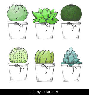 Croquis de plantes succulentes en pot. Aquarelle stylisée. Vector illustration. Banque D'Images