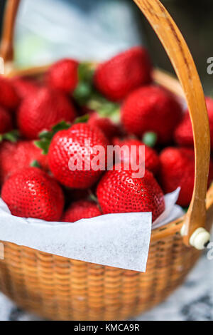 Dans un panier de fraises fraîches Banque D'Images