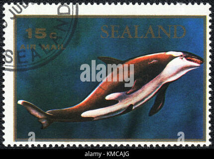 Un timbre imprimé en Principauté de Sealand montre un orcinus orca, série, vers 1970 Banque D'Images