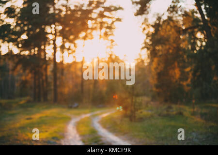 Abstraite automne trouble naturel route forestière au coucher et au lever du soleil. l'arrière-plan flou, boke woods avec la lumière du soleil, rouge et jaune des couleurs chaudes de la nature. Banque D'Images