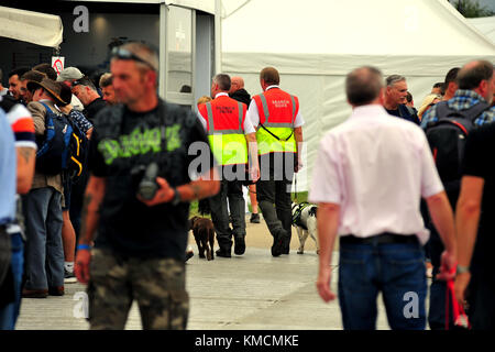 Les chiens renifleurs et leurs maîtres au Goodwood Festival of Speed. Banque D'Images