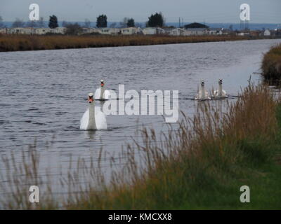 Sheerness, Kent, UK. 6e Dec 2017. Météo France : un ciel couvert matin à Sheerness. Credit : James Bell/Alamy Live News Banque D'Images