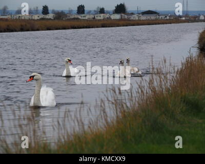 Sheerness, Kent, UK. 6e Dec 2017. Météo France : un ciel couvert matin à Sheerness. Credit : James Bell/Alamy Live News Banque D'Images