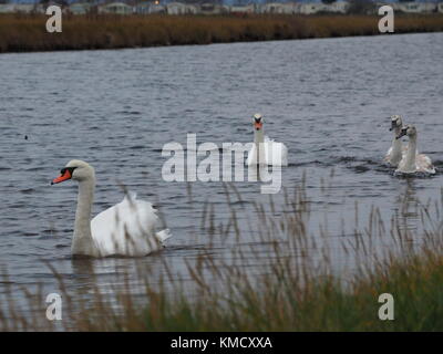Sheerness, Kent, UK. 6e Dec 2017. Météo France : un ciel couvert matin à Sheerness. Credit : James Bell/Alamy Live News Banque D'Images