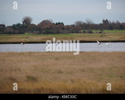Sheerness, Kent, UK. 6e Dec 2017. Météo France : un ciel couvert matin à Sheerness. Credit : James Bell/Alamy Live News Banque D'Images