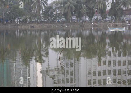 Kolkata, Inde, 6 décembre 2017. Flore et faune avec la et de l'architecture moderne autour d'Laldighi au coucher du soleil. Lal Dighi est une étendue d'eau au milieu de B. B. D. Bagh, précédemment connu sous le nom de tank ou carrés square Dalhousie, au cœur de Kolkata est un must travel. Pêche à la ligne par les sections locales est merveilleux à regarder. Sur chaque samedi un spectacle culturel et de l'alimentation organisé par l'ouest du Bengale est organisé. Credit : Rupa Ghosh/Alamy Live News. Banque D'Images