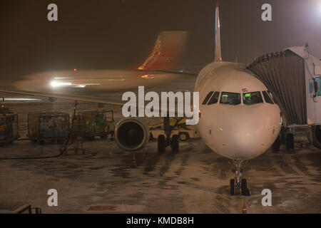 Novosibirsk, Russie - Février 04, 2017 : Avion de la préparation d'Ural airlines pour les vols dans l'aéroport Tolmachevo. Banque D'Images